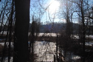 on assignment in the northeast